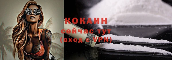 альфа пвп Новодвинск