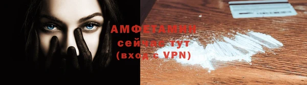 трава Новозыбков