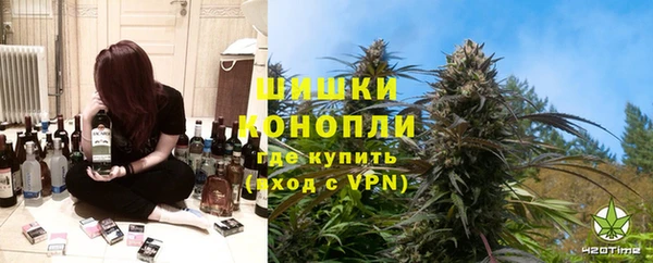 трава Новозыбков