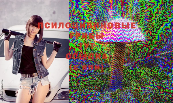 альфа пвп Новодвинск