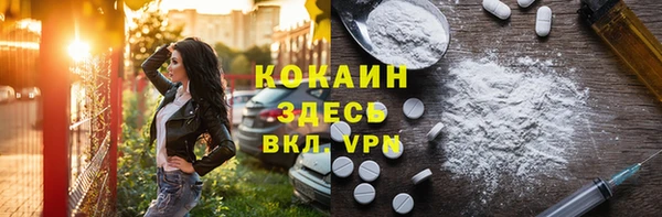 альфа пвп Новодвинск