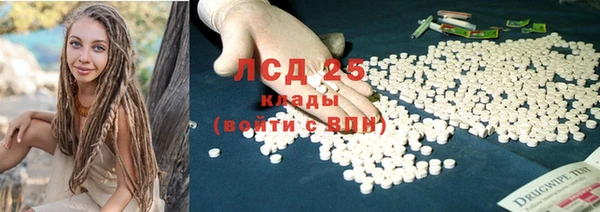 альфа пвп Новодвинск