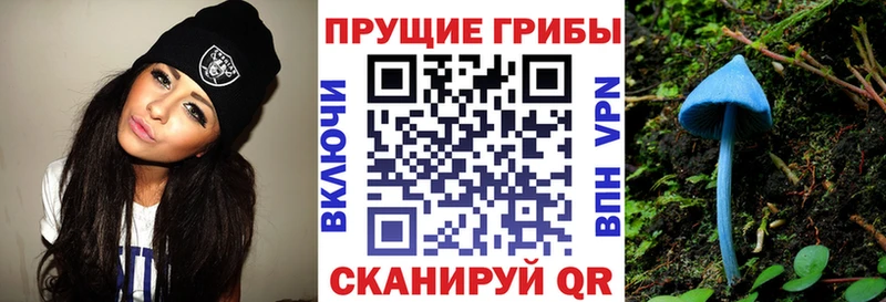 Галлюциногенные грибы Psilocybe  Фокино 