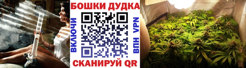 купить закладку  ОМГ ОМГ ТОР  Бошки марихуана план  Фокино 